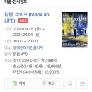 동송프라자 | [대치동송반장후기]동대문 DDP 팀랩 전시 티켓 할인,주차 TIP