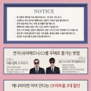 쉬어매드니스 이미지