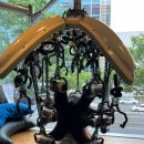 애플헤어 이미지