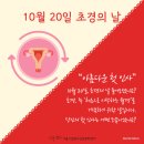 10월 20(일) 초경의 날을 아시나요? 이미지