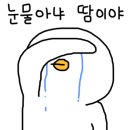 조이스디저트스튜디오 이미지