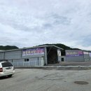 양평1급종합자동차정비사업소 이미지