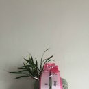 정남꽃농원