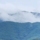 돌틈새바느질정원