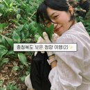 농촌체험코스(남부) | 충청북도 보은 가볼만한 곳 농촌체험 산모랭이풀내음펜션