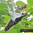 예덕반점