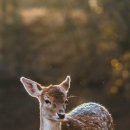 보건증 발급 방법 & 보건증 검사 및 비용 참고해요! 이미지