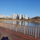 모산골 공원 네이버블로그
