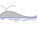 유아 펀펀영어 이미지