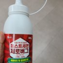 페스트제로