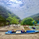 파파하우스 이미지