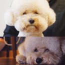 태리농장 이미지