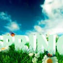 남성 크로커다일 이미지