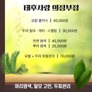 체육로 | 녹양동 태후사랑 두피토탈케어/갱년기 두피열·각질 잡은 리얼 후기