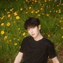 아나카롱