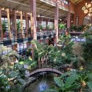 피자포레스트 이미지