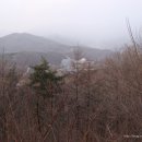 신애농장 이미지