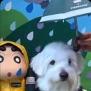 개버드 스쿨 이미지