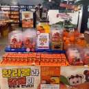 머메이드시티(주) | 제주공항 근처 기념품샵 마이제주기프트 해녀 미피 구경 제주 귤 초콜릿 구매