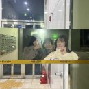 진민하우스 | 레드블러드에서 블루블러드로, 12월의 기록