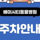 베이시티 동물병원 이미지