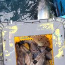 대부목장 이미지