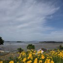 안면도 샛별해수욕장 이미지