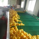 성주농장 이미지