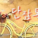 루나스타(Lunastar)