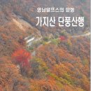 11월13일(화) 영남알프스 가지산(블랙야크 100명산)쌀바위,석남사 단풍.억새 산행 .♡25,000원. 조.중식(도시락).리무진운행 이미지