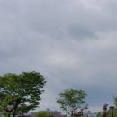 청산기업