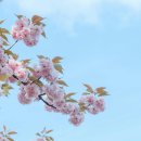 (주)산에들에 이미지
