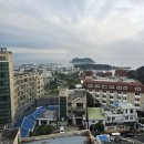 대정읍 매일시장 뒤 | 내돈내산 제주도 한바퀴 DAY-4(서귀포 - 표선면 - 대정읍)