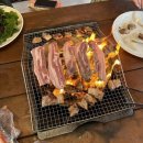 소백산빌리지 | 단양 숙소, 소백산 빌리지 내돈내산 후기