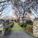 이화본가 이미지