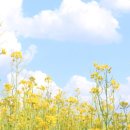 대구진월초등학교 이미지