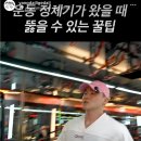 와일드 캣츠 | 그냥 요즘 소소한 물욕