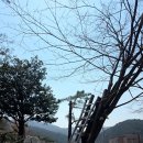 스카이마당 이미지