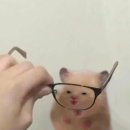 다사 다이소 앞 이미지