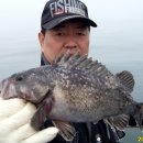 바다낚시 - 영덕군 축산항길 21 | 바다낚시