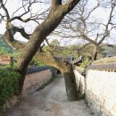 남사예담촌마을 이미지