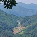 바람소리새소리 이미지