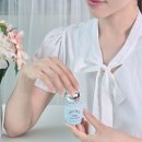 블로우핏 | 올리브영 20대 여자 여름향수 추천 애프터 블로우 아쿠아 탠저린 후기