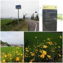 대산문화체육공원(야구장) 이미지