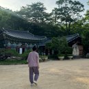 9시목요 성인요가 | 충남 공주 | 마곡사 템플스테이 요가 체험형 후기🙇‍♀️🧘‍♀️