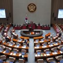 엉터리네 이미지