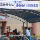 도암초등학교 이미지