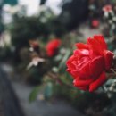 하니안마시술소 이미지