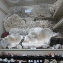 중원대학교박물관 이미지