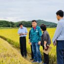 정광섭 충남도의원, “수확기 벼멸구 피해 농가에 피해액 지원” 모색(태안타임즈) 이미지